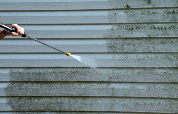 Best Toxic Mold Removal  in Wesson, MS