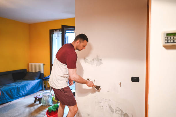 Best Mold Cleaning Services  in Wesson, MS